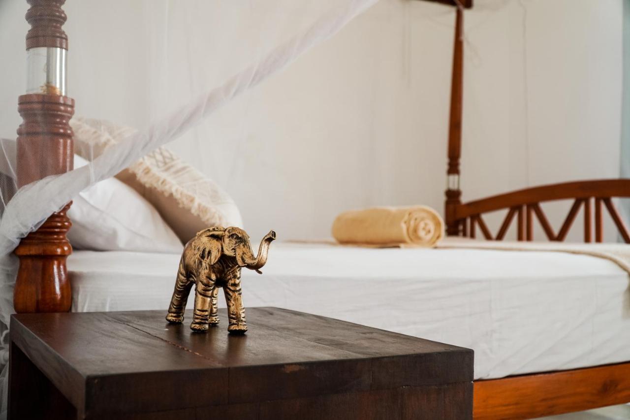 Bed and Breakfast Lucky'S Surf Camp Weligama Exteriér fotografie